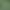 Ein junger Hirsch steht auf einer grünen, üppigen Wiese, umgeben von hohem Gras und wilden Pflanzen.