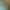Eine Gruppe von Menschen entspannt sich in einem Außenbecken mit heißem Wasser und einem Wasserfall, umgeben von einer Holzkonstruktion und Vegetation.