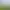 Panoramablick auf einen dichten Wald mit grünen Bäumen und einem teilweise bewölkten Himmel