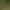 Hamac en tissu rayé suspendu entre deux poteaux en bois dans un jardin avec des feuilles au sol et des plantes environnantes