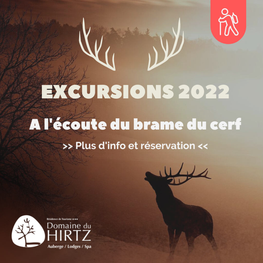 EXCURSION 2022 - A l'écoute du brame du cerf