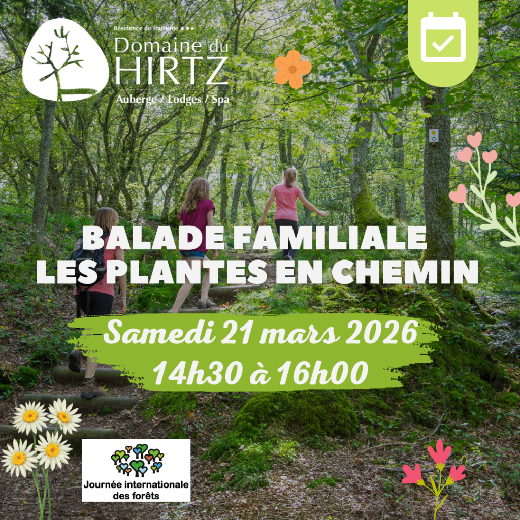 Journée internationale des forêts