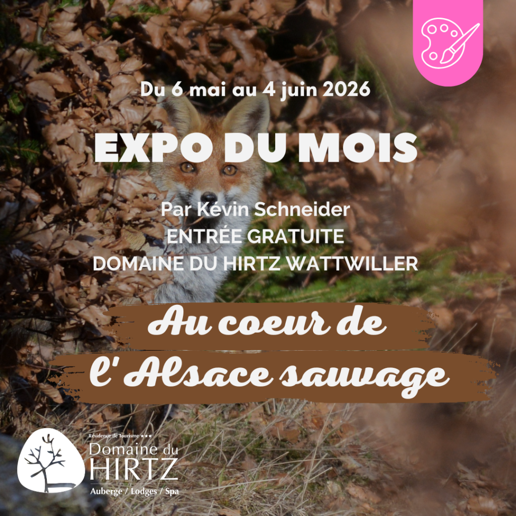 Expo du mois 