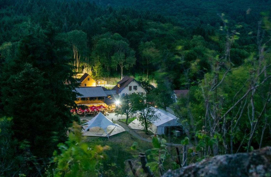 Week-end Nature & Voix au Domaine du Hirtz : osez révéler votre voix au cœur de la nature
